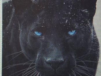 FB_IMG_1756724725751