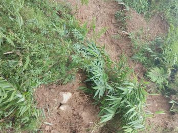 Messenger_creation_BB426AEB-07D0-4B45-9E86-E9FD4150EB5E