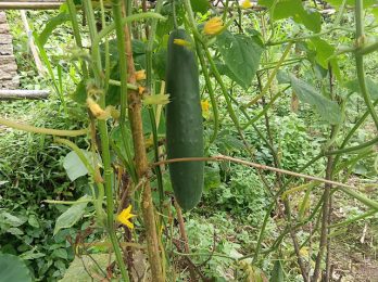 WhatsApp Image 2025-05-24 at 22.52.31