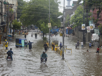 e82dae8e1e004da392c274cfe67988b2