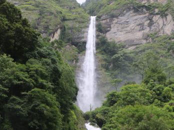 fungefunge-jharna-768x512-1