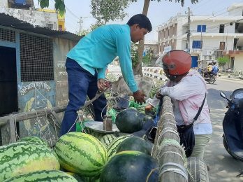 kharbuja-kheti_ODzmHFxOCU