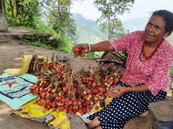 lichchi2025-06-11-10-07-20